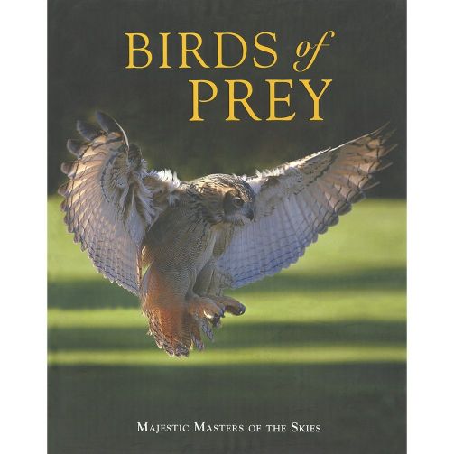Parragon Birds of Prey (Large Format)