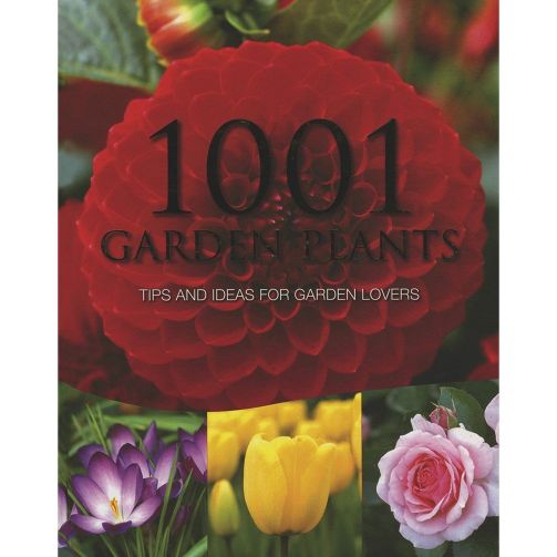 Parragon 1001 Garden Plants