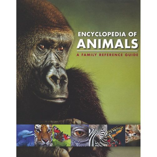 Parragon Encyclopedia Of Animals A Family Reference Guide