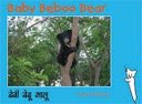 Tulika Baby Beboo Bear / Kutti Beboo Karadi English/Tamil